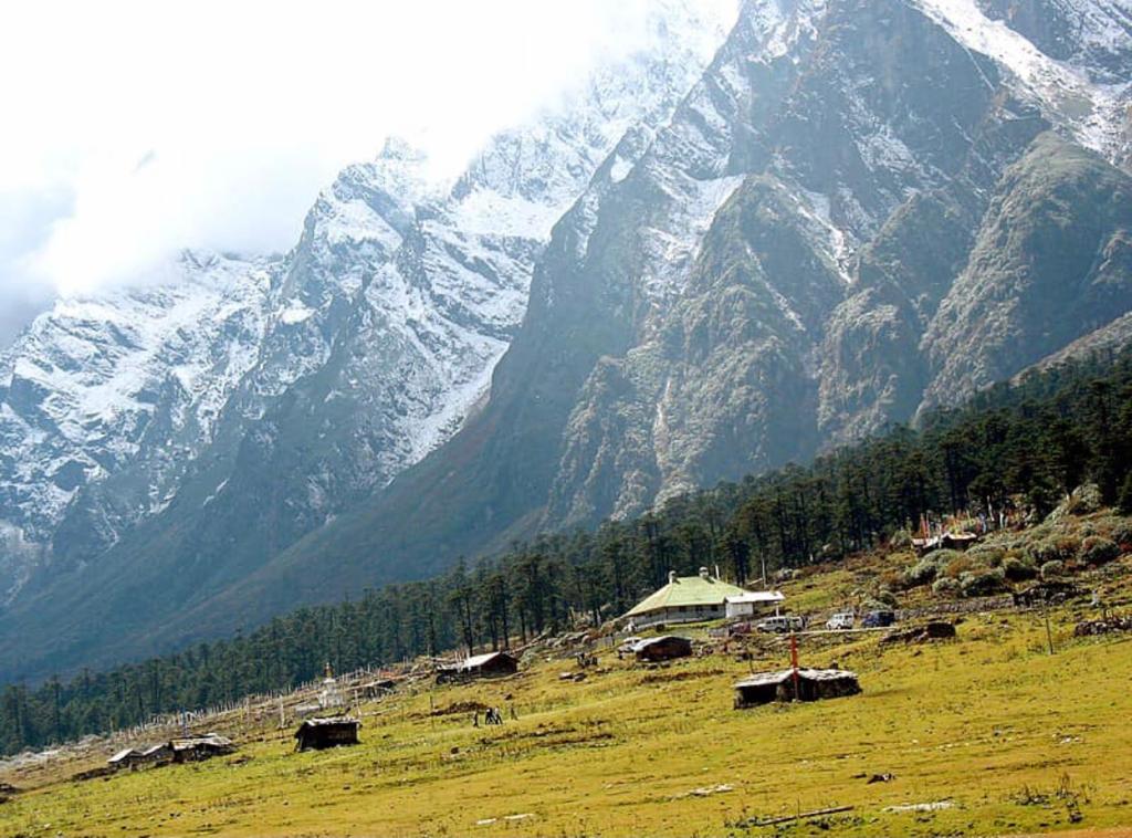 About Areca Treks & Tours